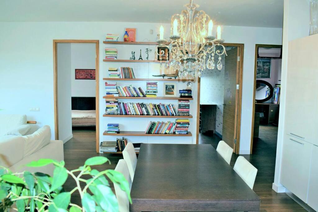 Spacious With The Terrace Vilnius